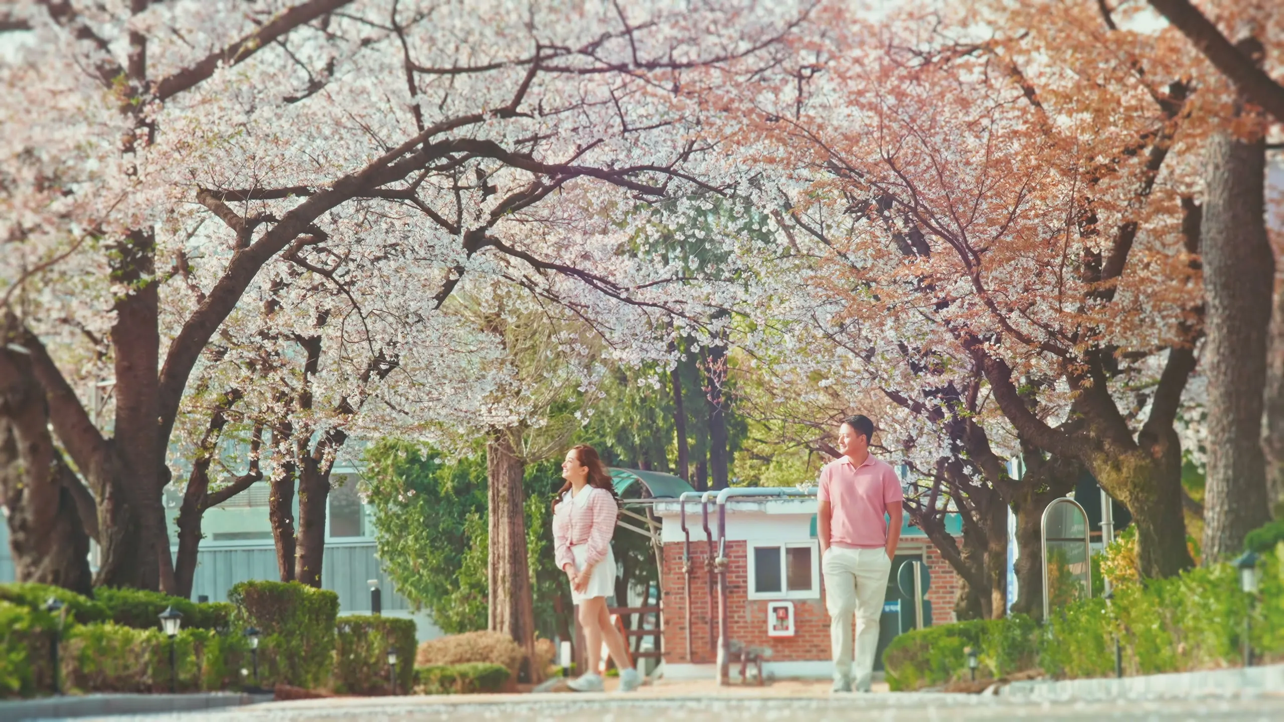 Joyce, Gideon and their young daughter walking hand in hand down the blossom path.