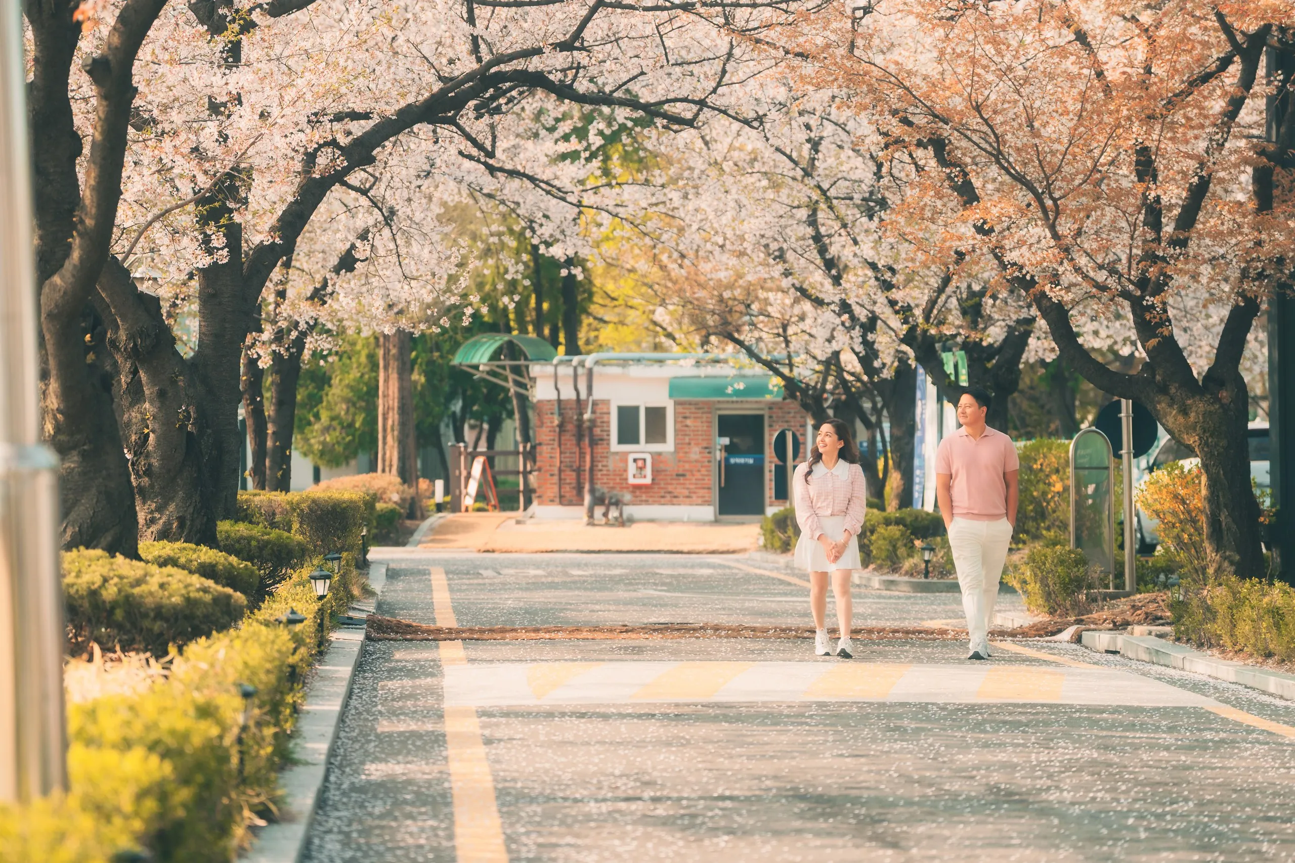 A couple under a blossom tunnel