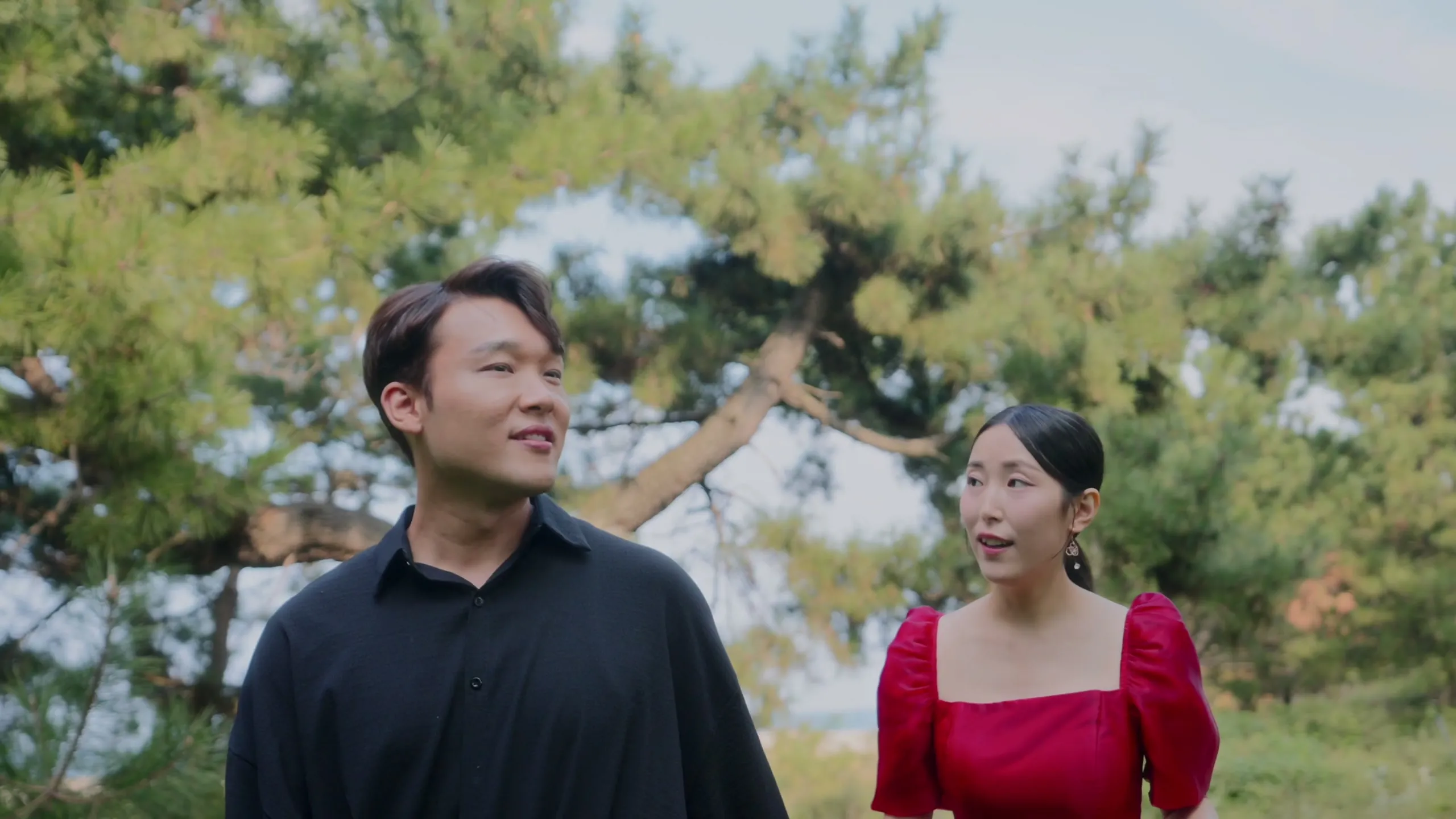 The couple under a pine tree by the sea, the woman in red