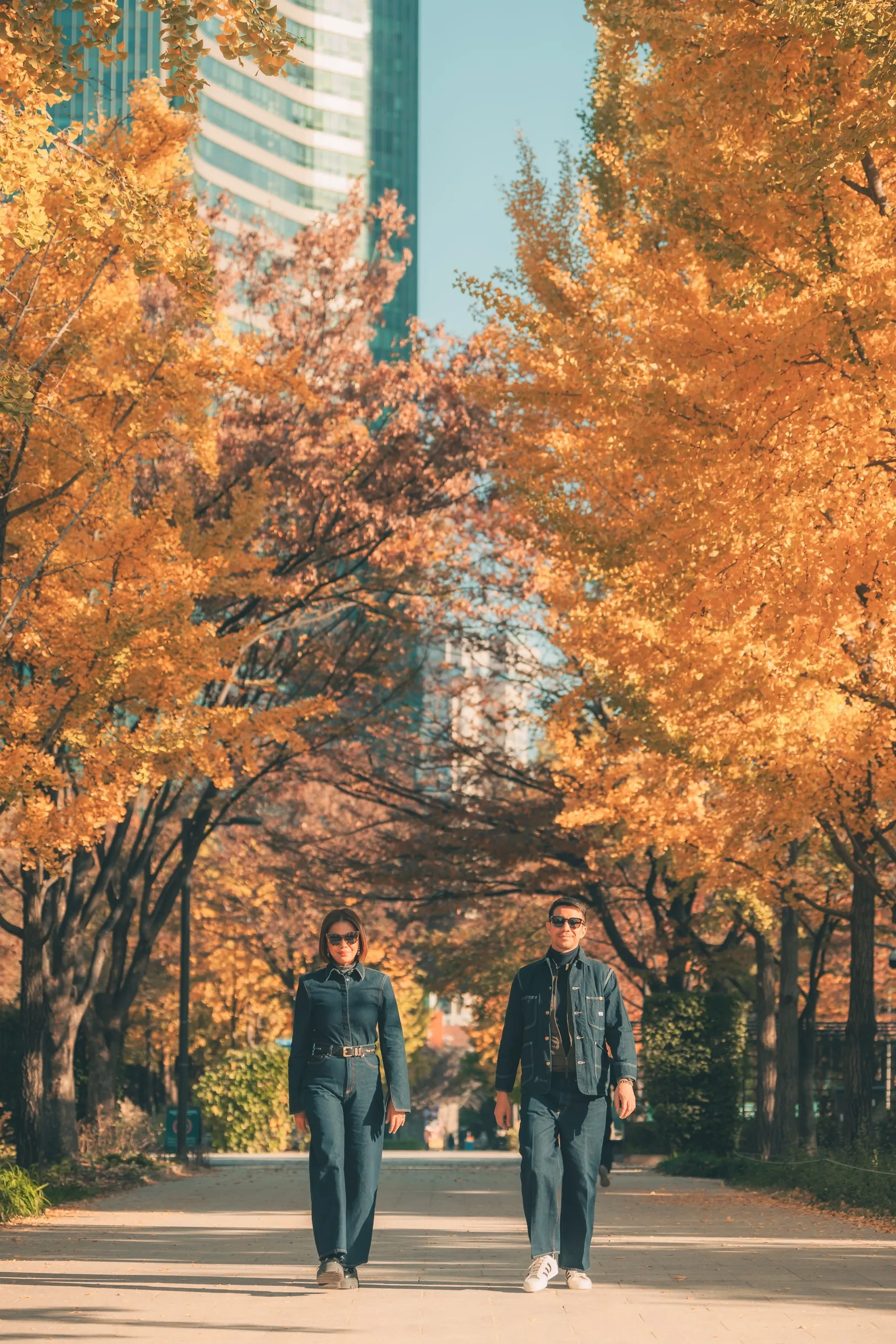 A couple walking a ginkgo-lined path in Seoul