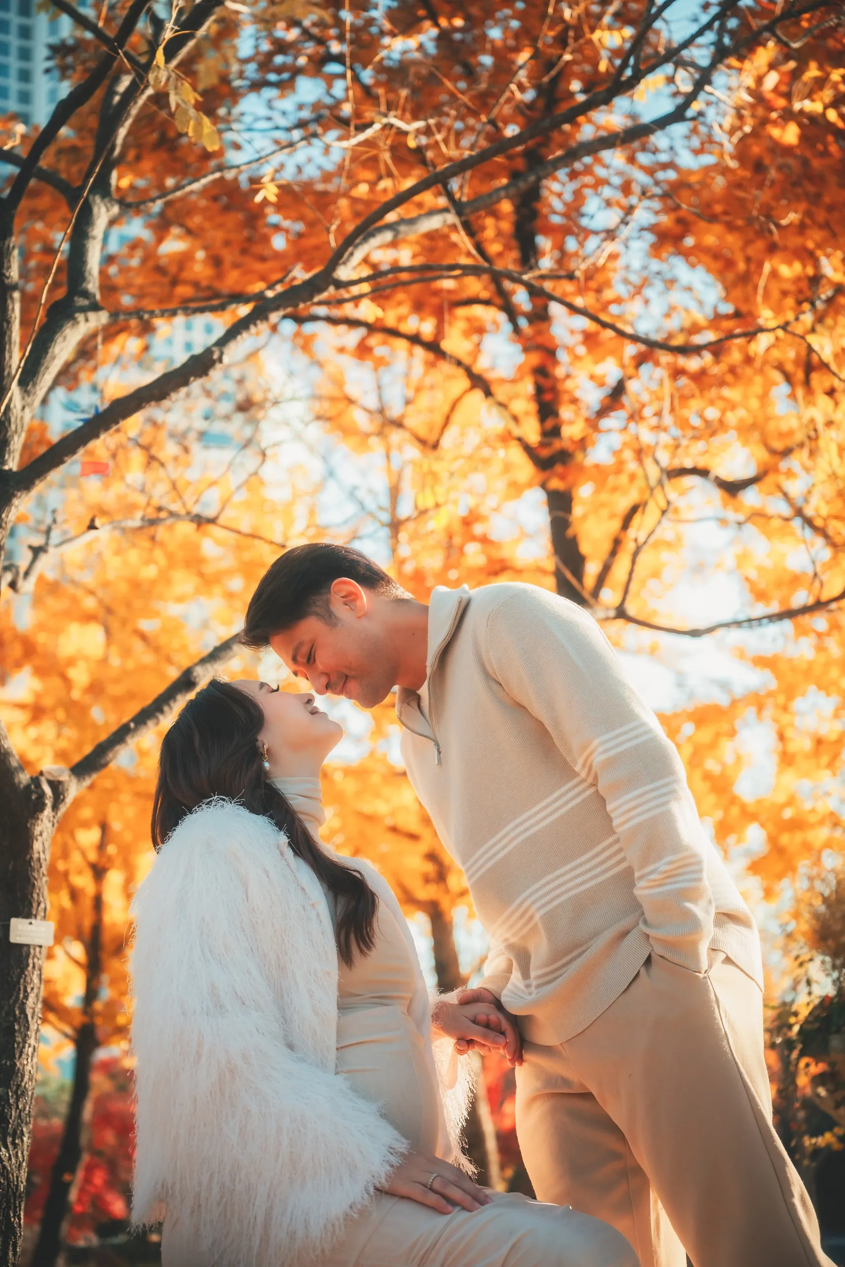 A couple kissing under golden autumn leaves