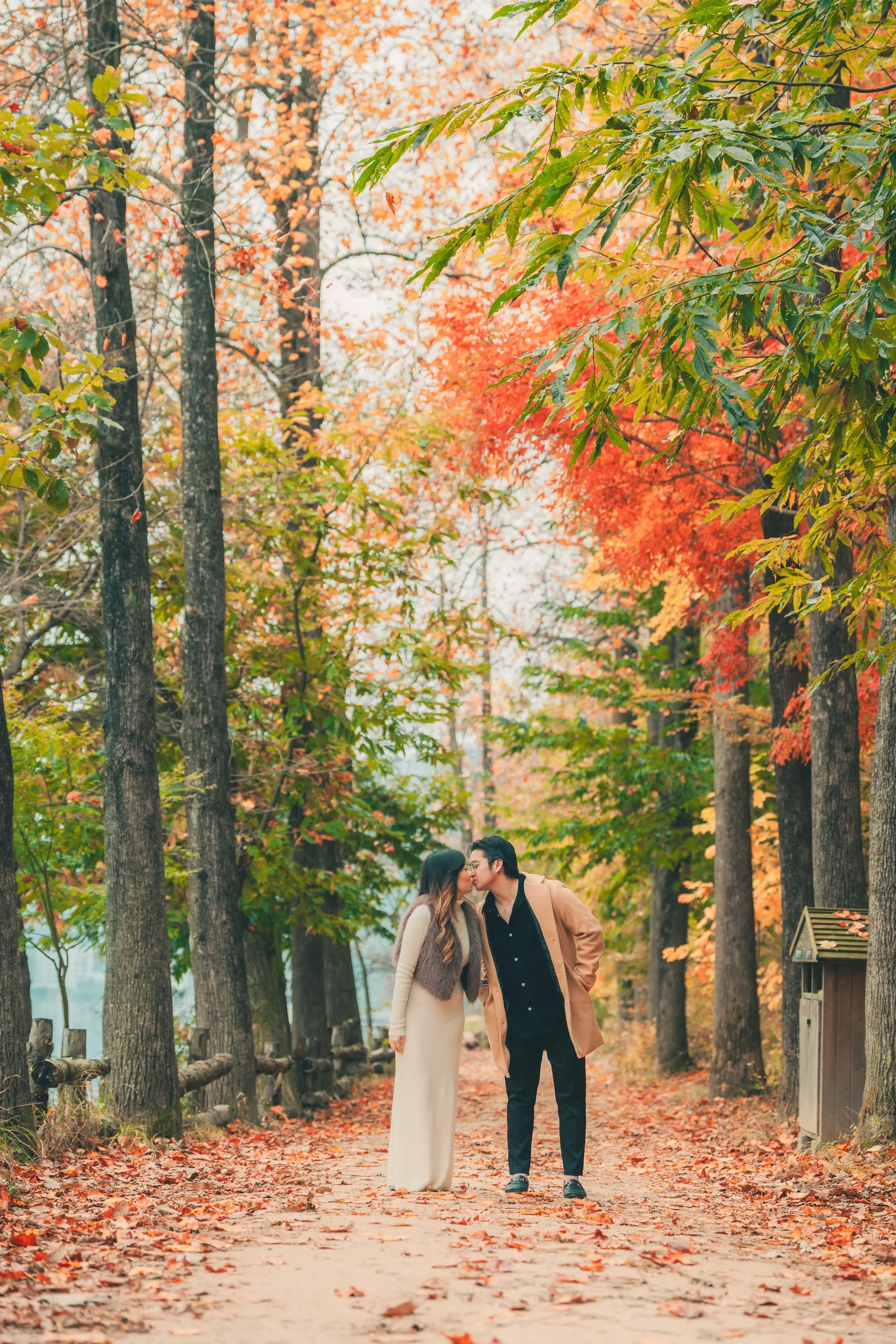A couple kissing on a tree-lined autumn lane
