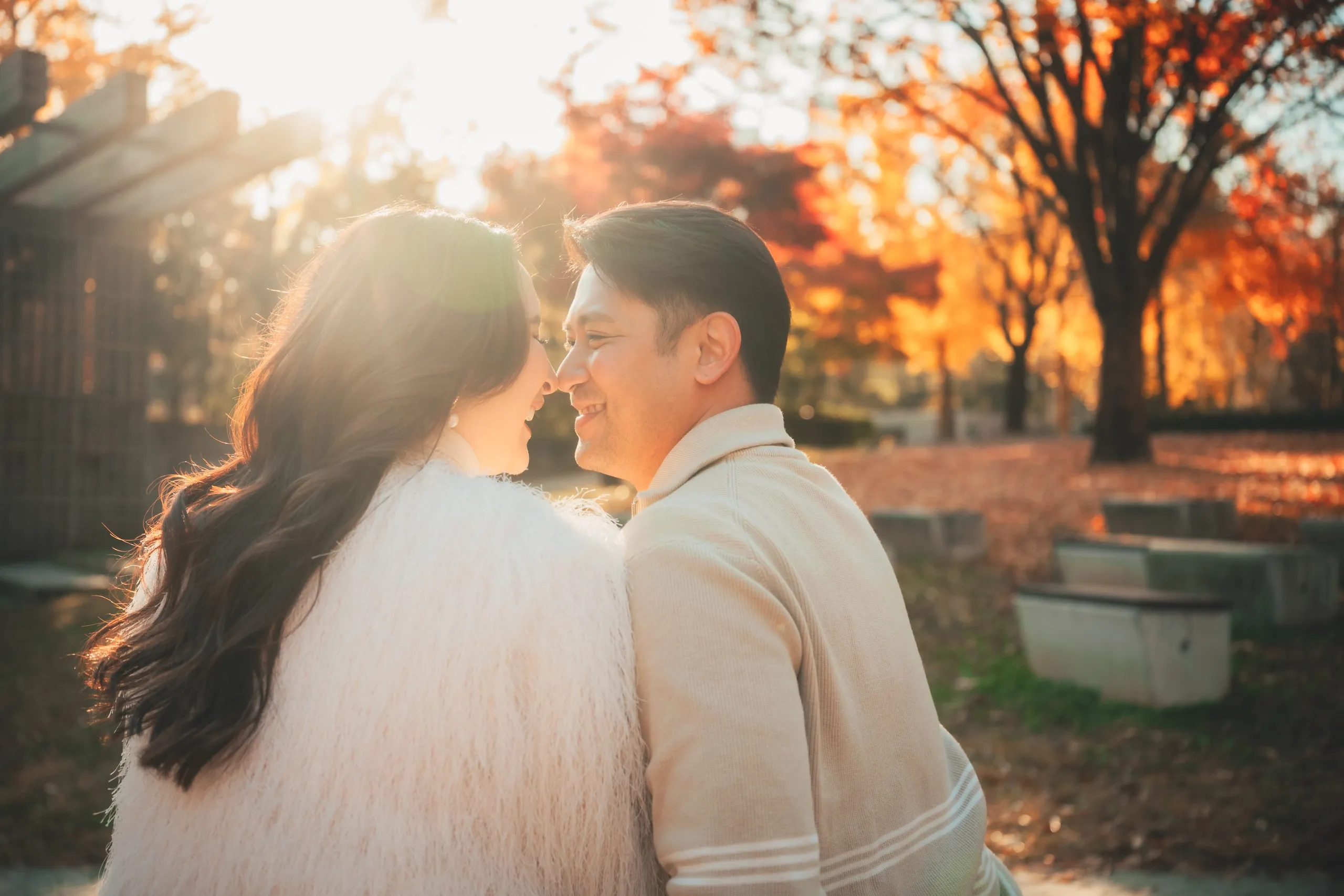 A couple backlit under golden trees