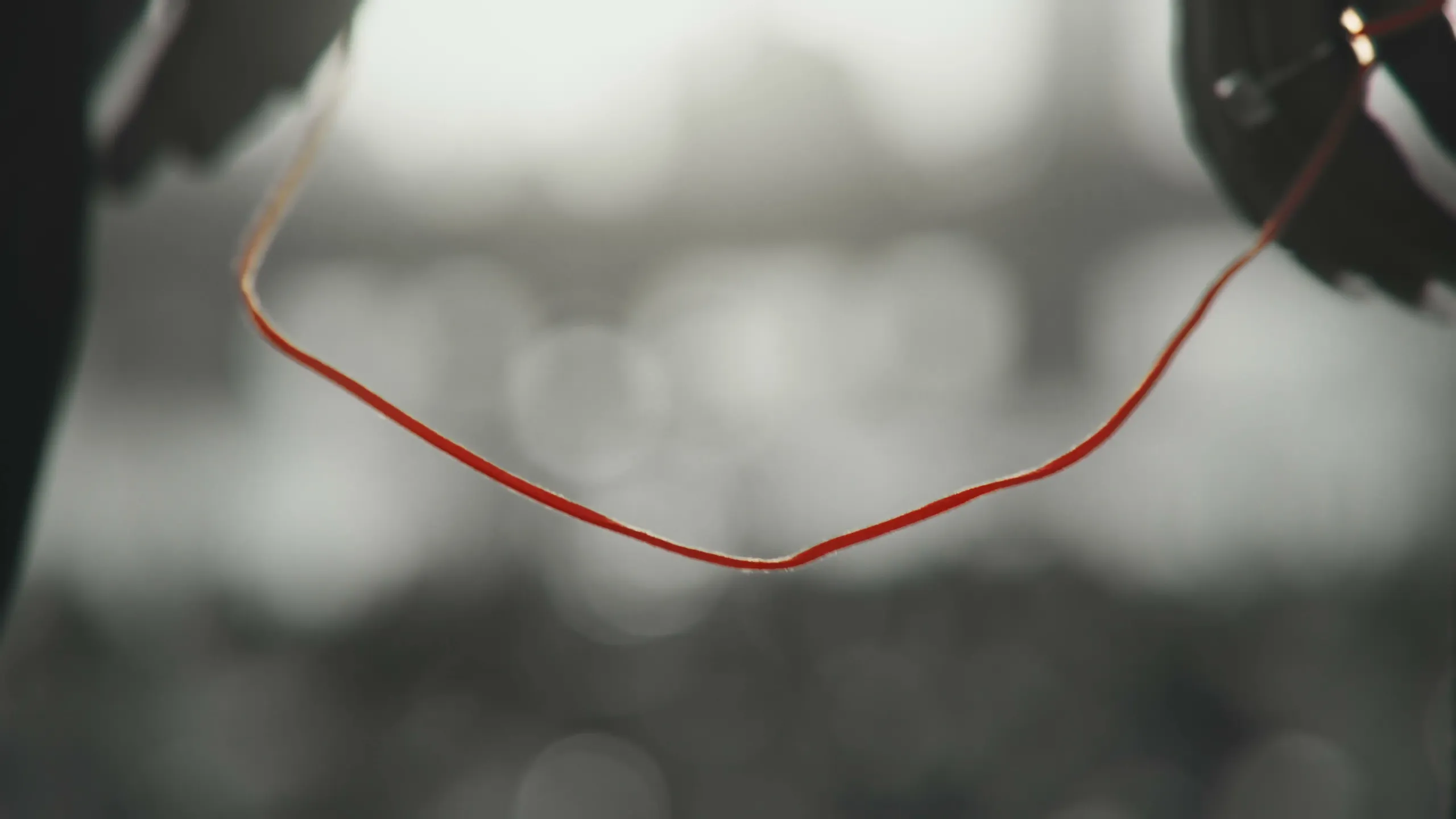 A red string held between their hands
